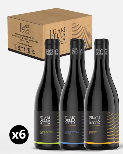 Wine Gift Box "Sicilia D.O.C. Bio BIG" - 6 products: 2 Catarratto - 2 Merlot - 2 Nero D'Avola